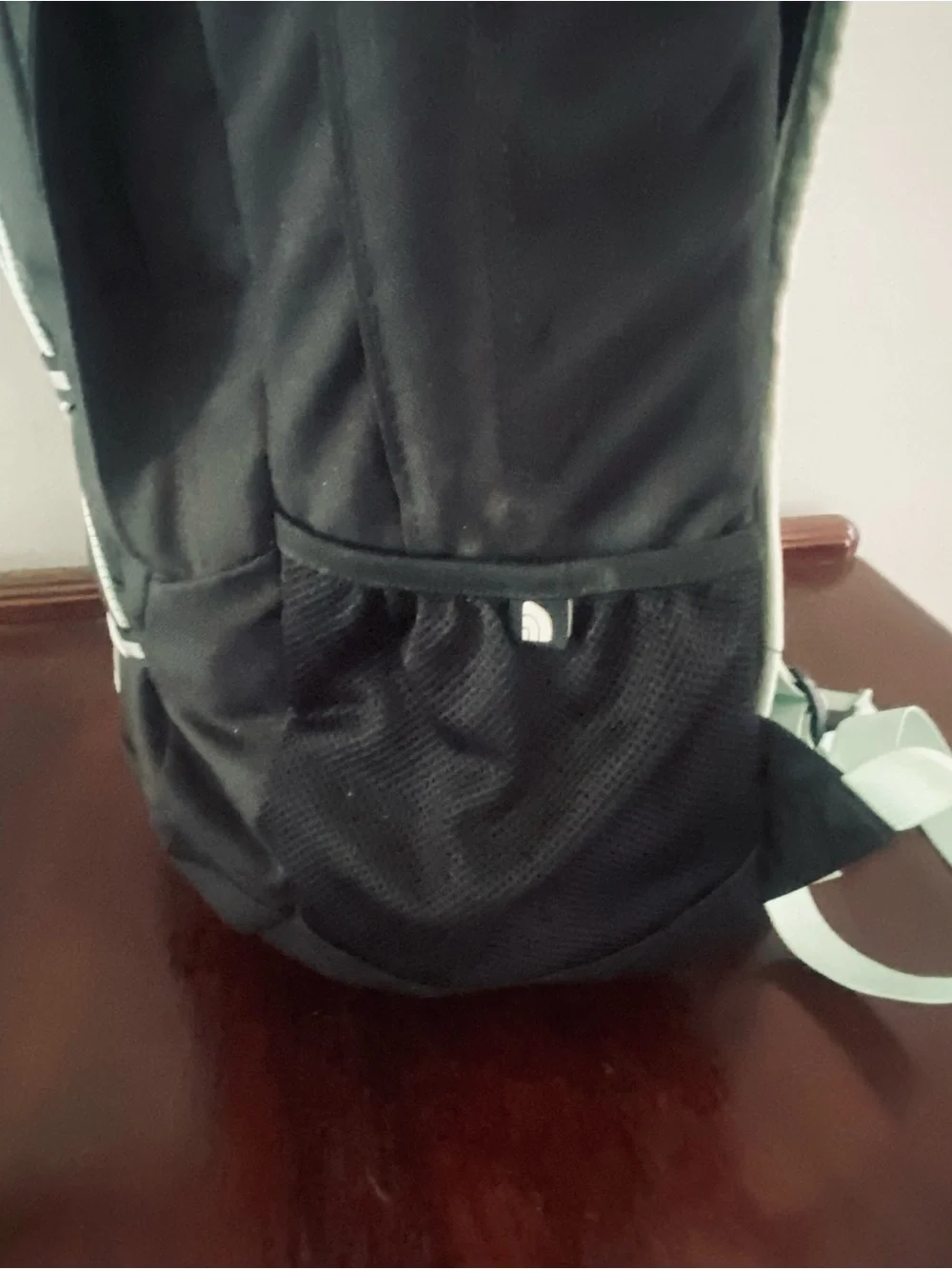 The North Face Black Backpack with Mint Accent Bungee Jester ll